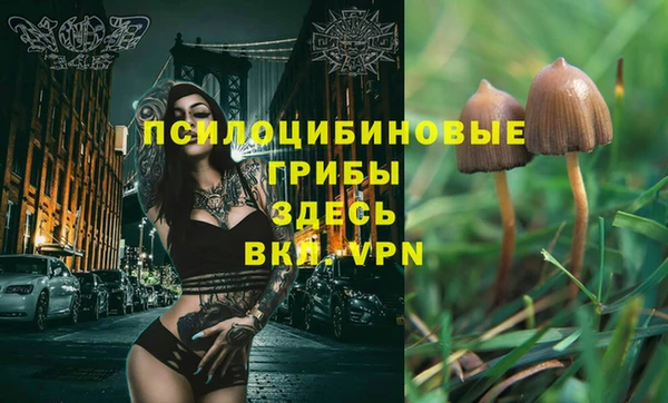 mdma Покачи