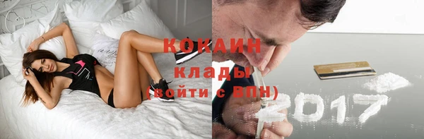ECSTASY Пересвет